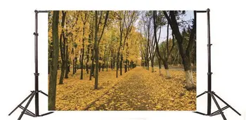 Фон для фотосъемки Осень Золотые листья Деревья Природа Путешествия
