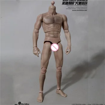 В наличии Worldbox 1/6th AT008 Мужские фигурки с крепкими мускулами, подходящие для 12-дюймовых кукольных аксессуаров