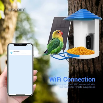 Камера для кормления птиц AI Определяет виды, встроенный аккумулятор, автоматический захват видео с птицами, уведомление AI-Умная камера для кормления птиц с Wi-Fi