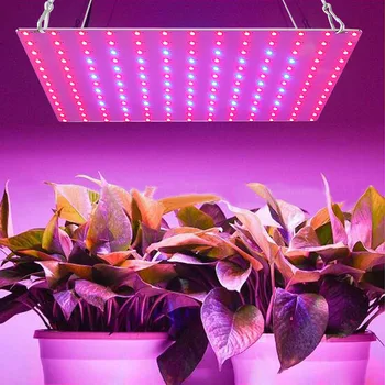 COB LED Grow Light Полный спектр 1000 Вт 1500 Вт Ультратонкая плата Quantum Tech 2835 LED Growth Lighting Лампа для растений Гидропоники